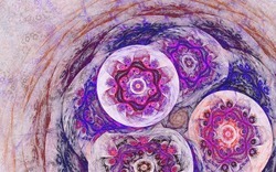 2014 04 26 Evening Plastic 64-white.jpg